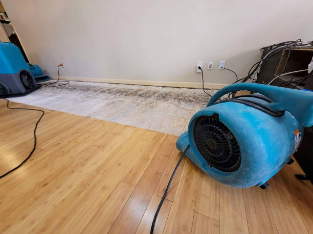 Professional Water Damage Repair technician working in Tanner, AL